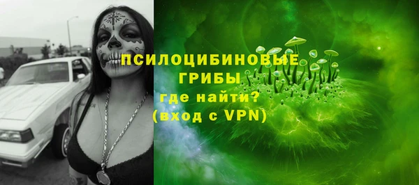 твердый Алексеевка