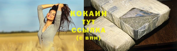 твердый Алексеевка