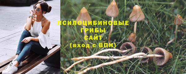 молекула духа Алексин