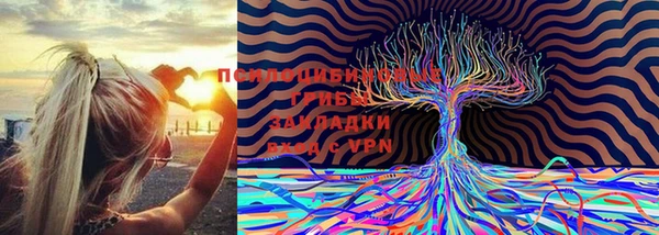 молекула духа Алексин
