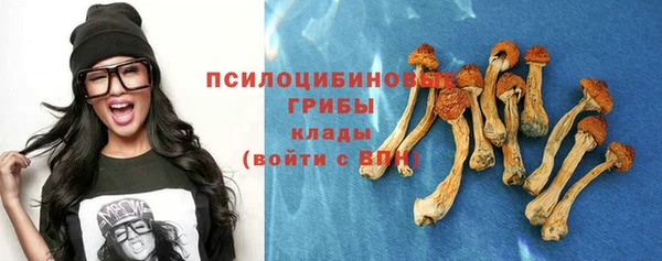 молекула духа Алексин