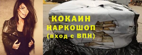 дживик Пересвет